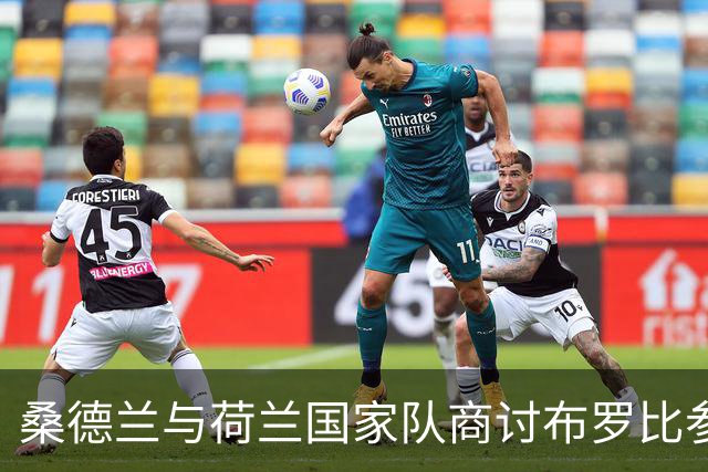 桑德兰与荷兰国家队商讨布罗比参赛状况